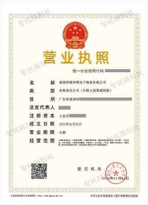 深圳市錦坤網電子商務有限公司注冊案例 通信系統開發與集成的企業創辦之路